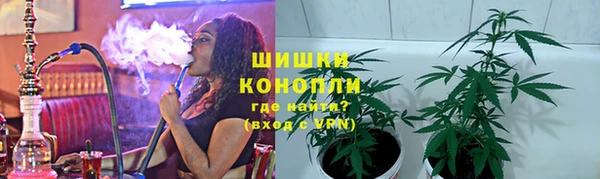 spice Алзамай