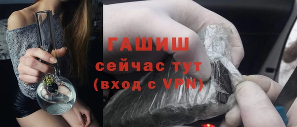 хмурый Алексин