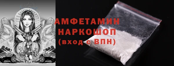 хмурый Алексин