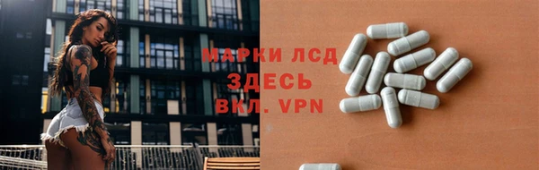 spice Алзамай