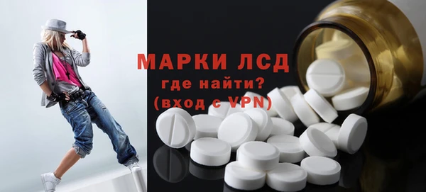хмурый Алексин