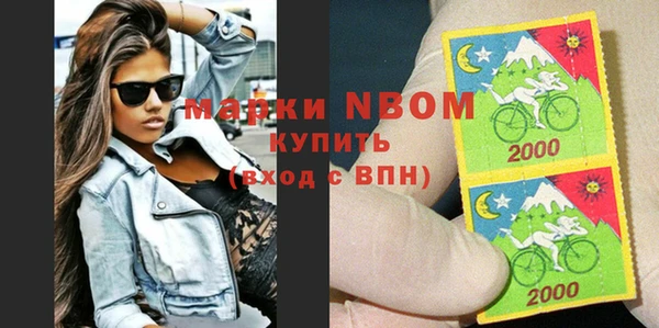 хмурый Алексин