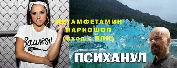хмурый Алексин