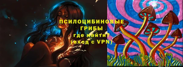 spice Алзамай