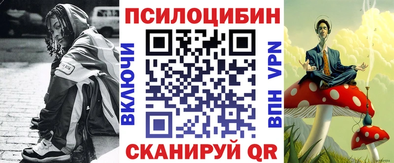 Галлюциногенные грибы Psilocybine cubensis  Динская 